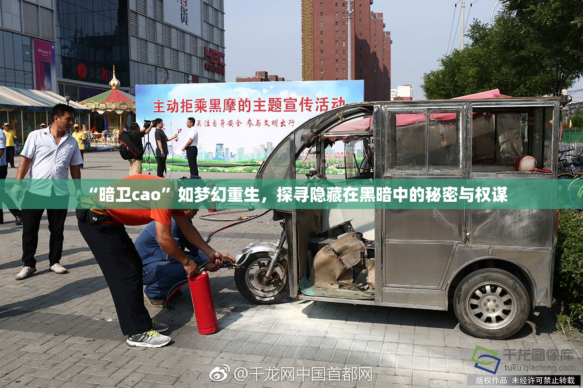 “暗卫cao”如梦幻重生，探寻隐藏在黑暗中的秘密与权谋