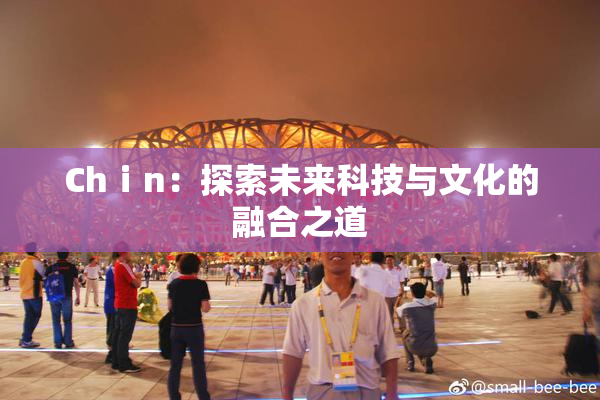 Chⅰn：探索未来科技与文化的融合之道