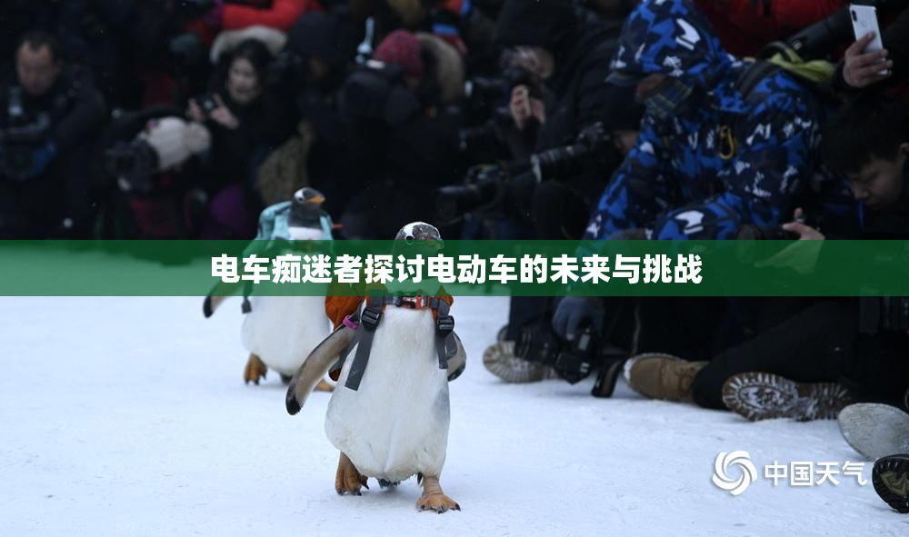 电车痴迷者探讨电动车的未来与挑战
