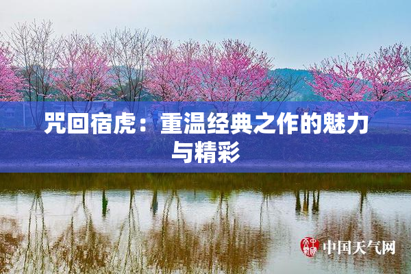 咒回宿虎：重温经典之作的魅力与精彩