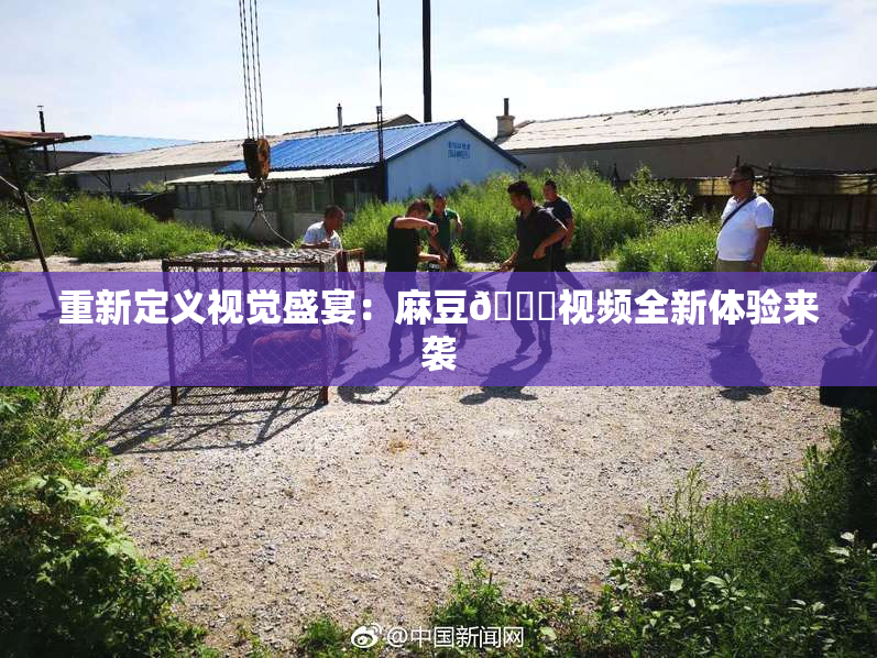 重新定义视觉盛宴：麻豆🔞视频全新体验来袭