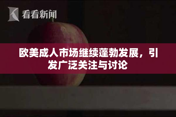 欧美成人市场继续蓬勃发展，引发广泛关注与讨论