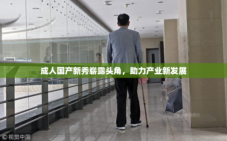 成人国产新秀崭露头角，助力产业新发展