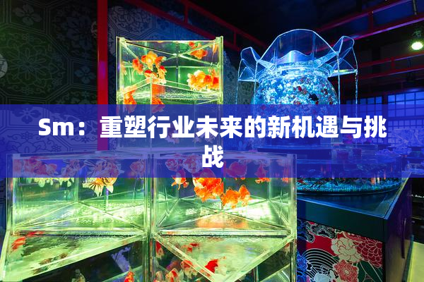 Sm：重塑行业未来的新机遇与挑战