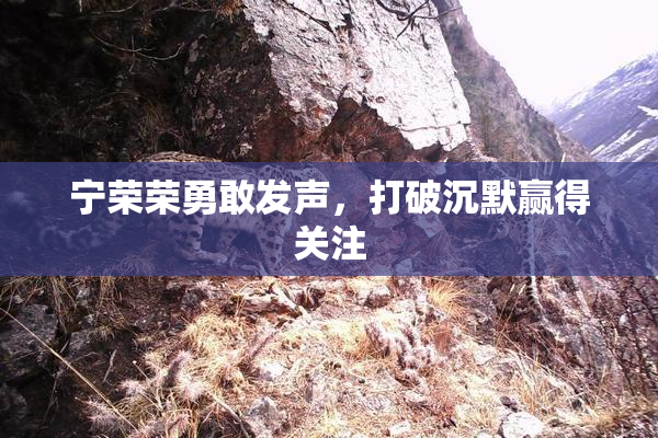 宁荣荣勇敢发声，打破沉默赢得关注