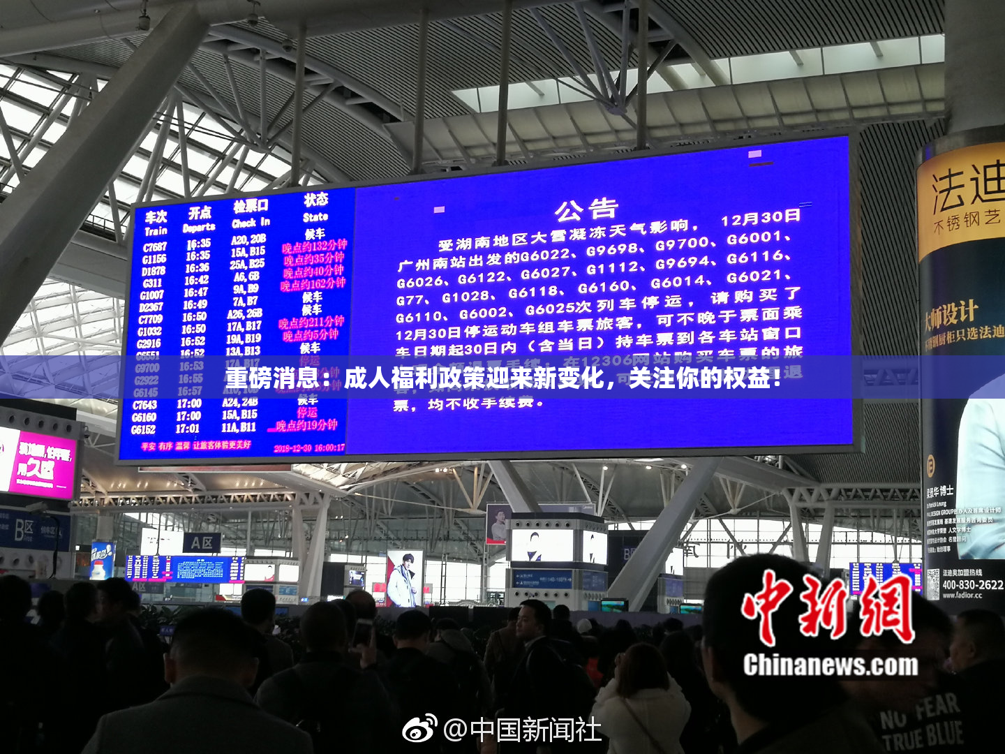 重磅消息：成人福利政策迎来新变化，关注你的权益！