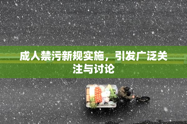 成人禁污新规实施，引发广泛关注与讨论