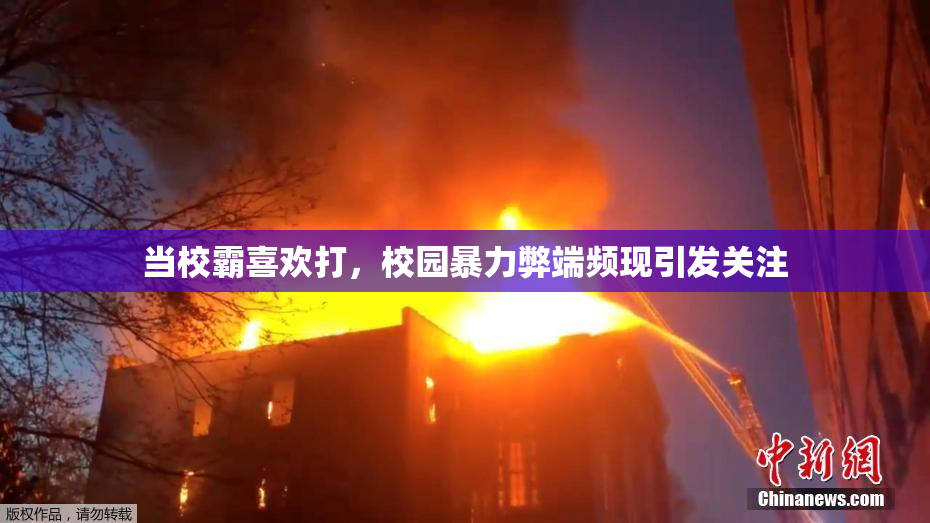 当校霸喜欢打，校园暴力弊端频现引发关注