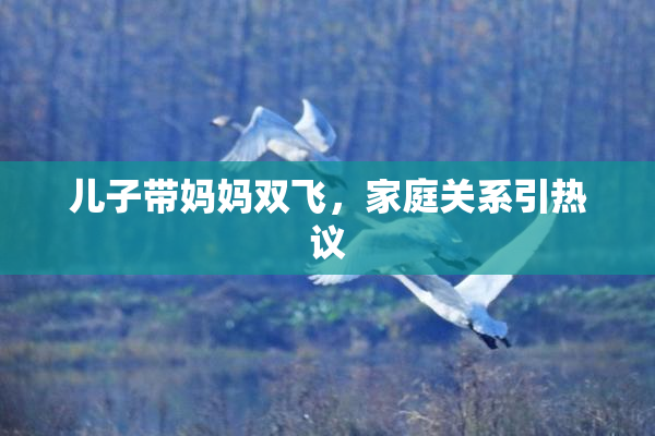 儿子带妈妈双飞，家庭关系引热议