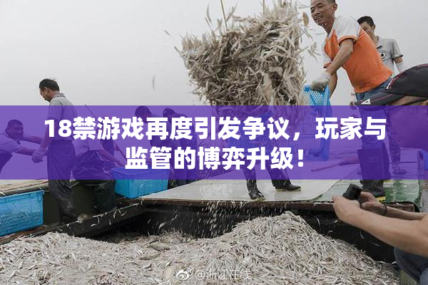 18禁游戏再度引发争议，玩家与监管的博弈升级！