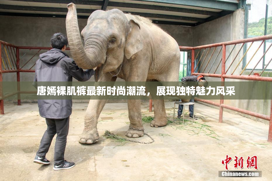 唐嫣裸肌裤最新时尚潮流，展现独特魅力风采