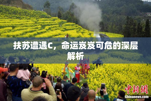 扶苏遭遇C，命运岌岌可危的深层解析