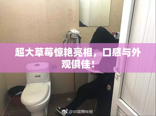 超大草莓惊艳亮相，口感与外观俱佳！