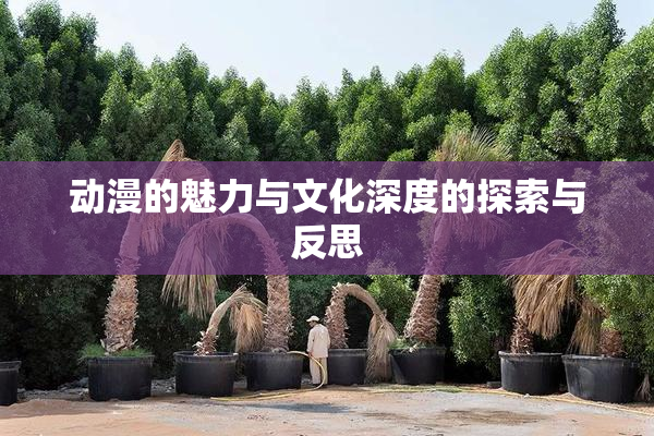 动漫的魅力与文化深度的探索与反思