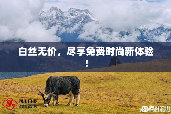 白丝无价，尽享免费时尚新体验！