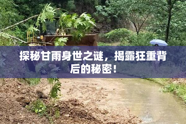 探秘甘雨身世之谜，揭露狂重背后的秘密！