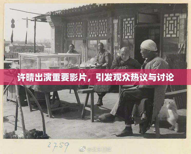 许晴出演重要影片，引发观众热议与讨论