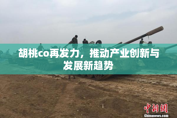 胡桃co再发力，推动产业创新与发展新趋势