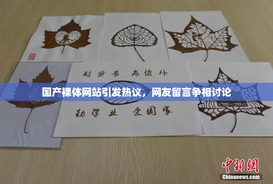 国产裸体网站引发热议，网友留言争相讨论