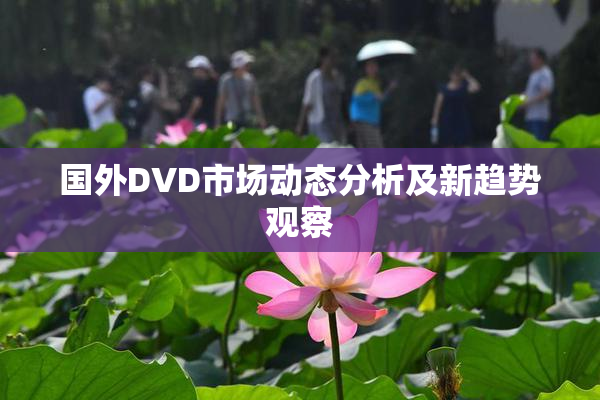 国外DVD市场动态分析及新趋势观察
