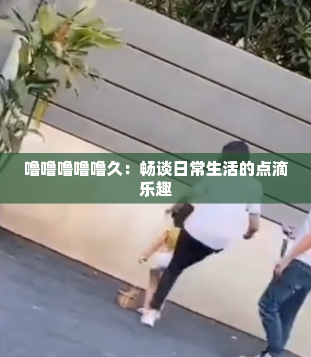 噜噜噜噜噜久：畅谈日常生活的点滴乐趣