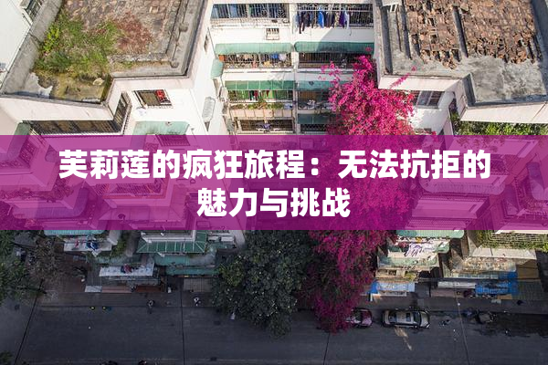 芙莉莲的疯狂旅程：无法抗拒的魅力与挑战