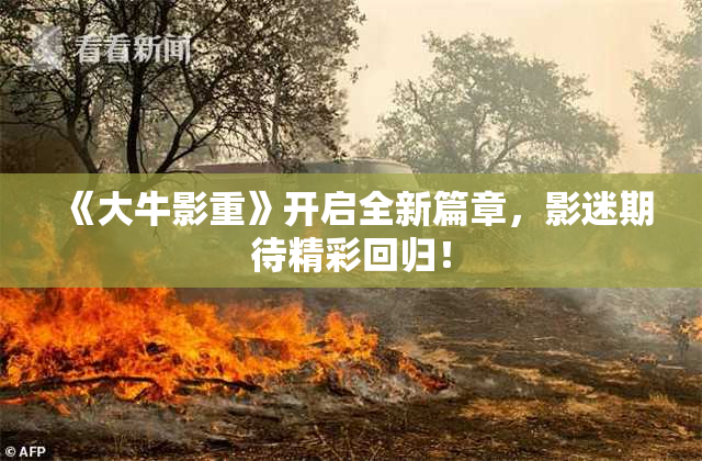 《大牛影重》开启全新篇章，影迷期待精彩回归！
