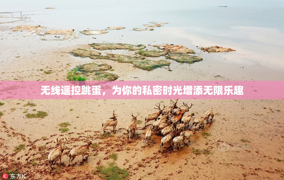 无线遥控跳蛋，为你的私密时光增添无限乐趣