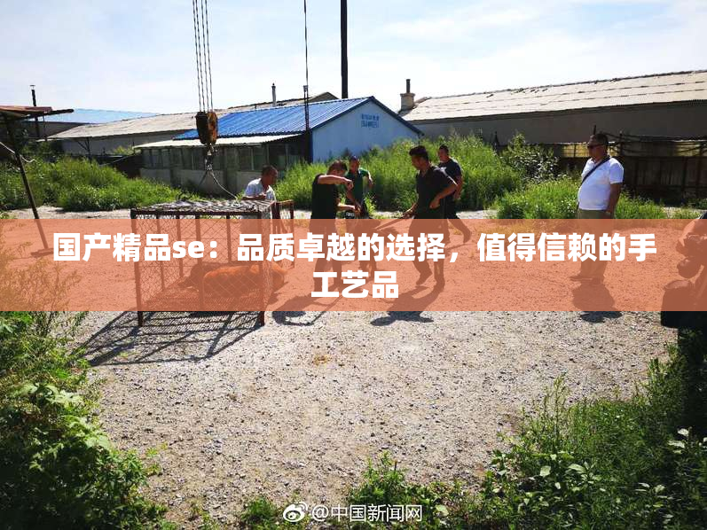 国产精品se：品质卓越的选择，值得信赖的手工艺品