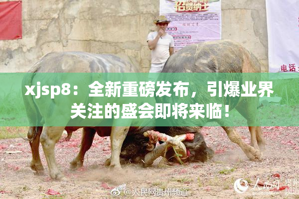 xjsp8：全新重磅发布，引爆业界关注的盛会即将来临！