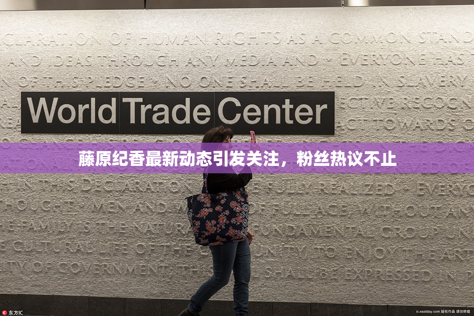 藤原纪香最新动态引发关注，粉丝热议不止