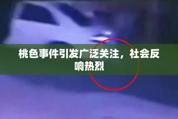 桃色事件引发广泛关注，社会反响热烈