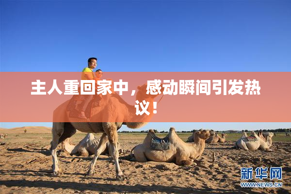 主人重回家中，感动瞬间引发热议！