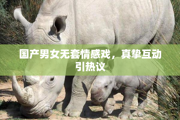 国产男女无套情感戏，真挚互动引热议