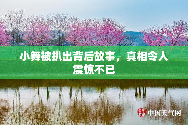小舞被扒出背后故事，真相令人震惊不已