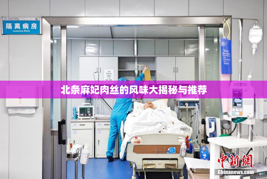 北条麻妃肉丝的风味大揭秘与推荐