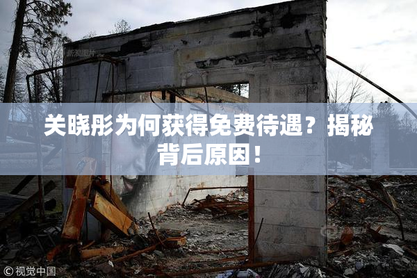 关晓彤为何获得免费待遇？揭秘背后原因！