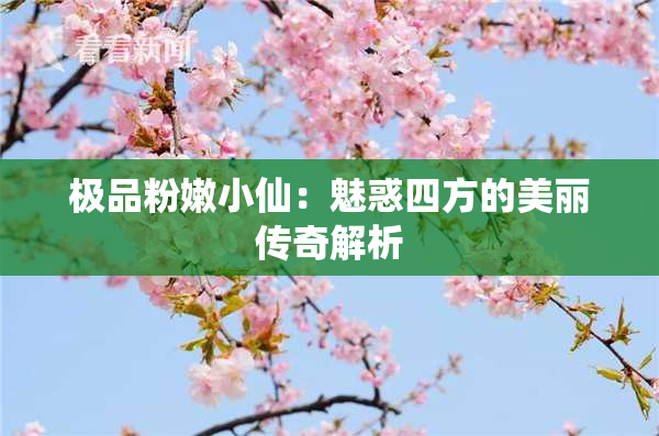 极品粉嫩小仙：魅惑四方的美丽传奇解析