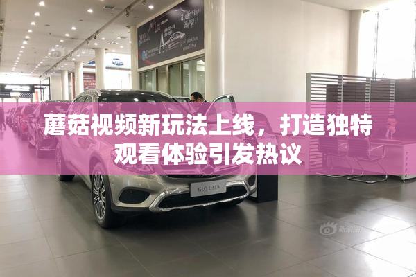 蘑菇视频新玩法上线，打造独特观看体验引发热议