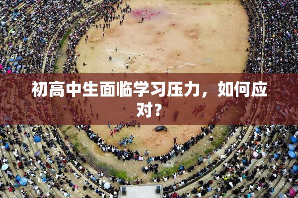 初高中生面临学习压力，如何应对？