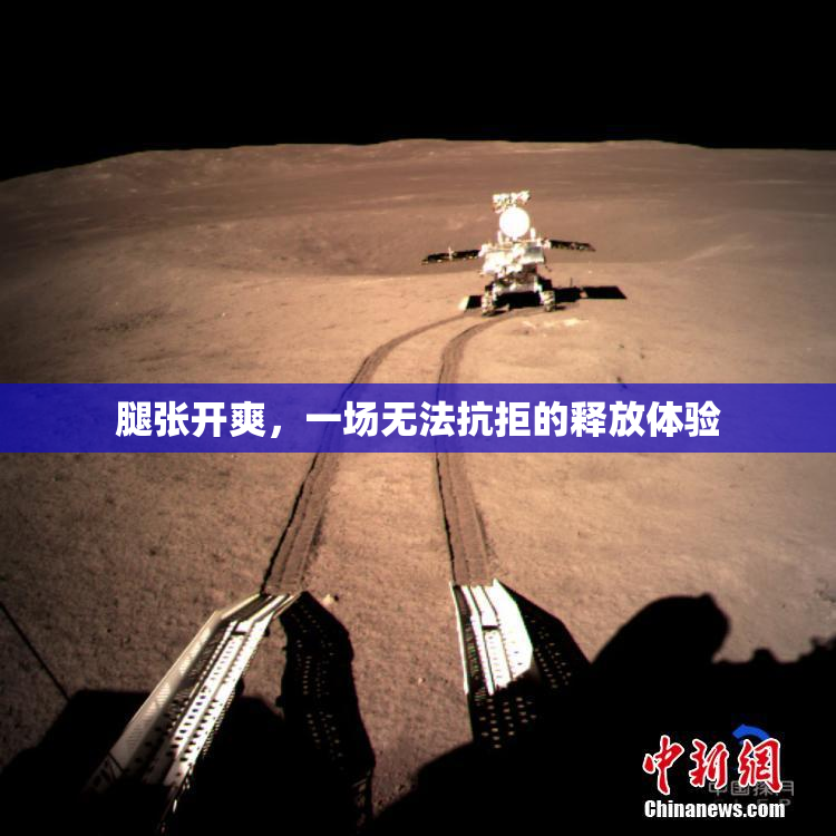 腿张开爽，一场无法抗拒的释放体验
