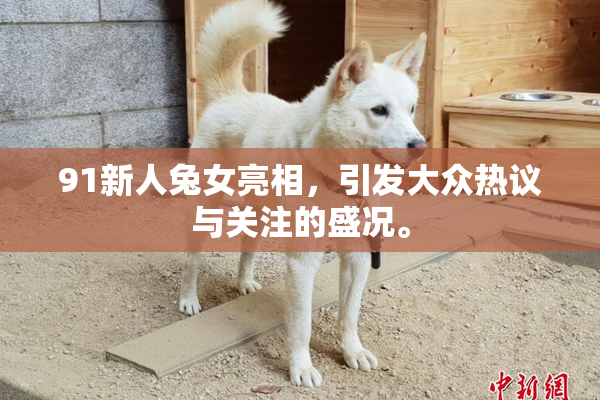 91新人兔女亮相，引发大众热议与关注的盛况。