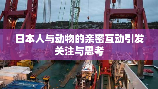 日本人与动物的亲密互动引发关注与思考