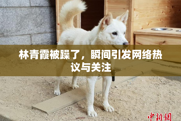 林青霞被躁了，瞬间引发网络热议与关注