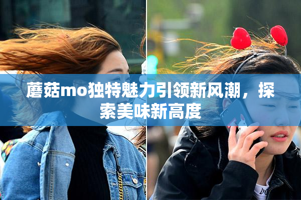 蘑菇mo独特魅力引领新风潮，探索美味新高度