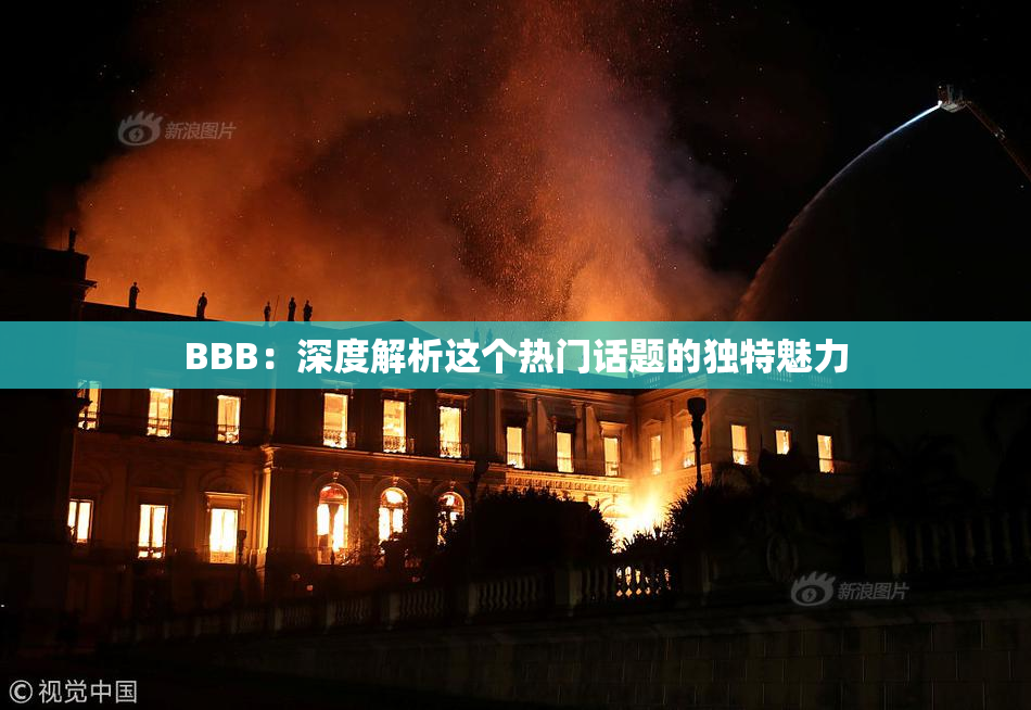 BBB：深度解析这个热门话题的独特魅力