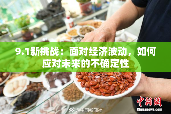 9.1新挑战：面对经济波动，如何应对未来的不确定性