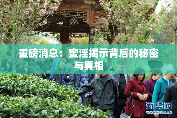 重磅消息：蜜淫揭示背后的秘密与真相