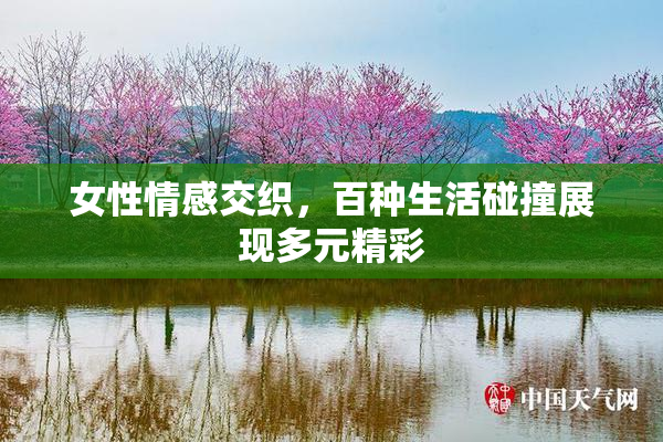 女性情感交织，百种生活碰撞展现多元精彩