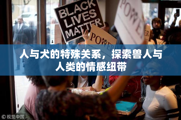 人与犬的特殊关系，探索兽人与人类的情感纽带